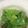 凪なぎ's cooksnap of when they made モロッコいんげんの胡麻酢和え.
