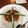 クックV5LIE0☆'s cooksnap of when they made 酸味が爽やか：夏のトマトカレー.