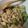 はづはるママ's cooksnap of when they made 鶏皮と胡瓜の中華風酢の物.