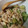 はづはるママ's cooksnap of when they made 鶏皮と胡瓜の中華風酢の物.