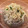 からぶ's cooksnap of when they made 切干大根とちくわの塩ゴマ油和え☆.