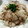 ぱの❁¨̮'s cooksnap of when they made 超簡単！豚バラ蒸し。たっぷり野菜と一緒に.