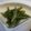 こてたす's cooksnap of when they made インゲンのごま和え ごまドレで簡単♪.