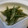 こてたす's cooksnap of when they made インゲンのごま和え ごまドレで簡単♪.