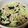 クックAZTLSP☆'s cooksnap of when they made 蒸し鶏とワカメ・キャベツのモリモリサラダ.