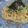 みどれんじゃぁ's cooksnap of when they made さっぱり☆ツナと大根の和風パスタ.