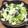 YUKIKI☆'s cooksnap of when they made レタスの梅マヨ海苔胡麻和え.