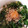 0mani0's cooksnap of when they made 青ネギみじんでネギ玉丼.