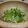 とまと☆すぷーん's cooksnap of when they made ３分でもう１品☆しらすキュウリ.