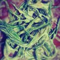 chEk0's cooksnap of when they made おかひじきの簡単マヨネーズ和え.