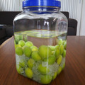 eco3mama's cooksnap of when they made 簡単♫基本の手作り梅酒の作り方♡.