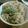 有依子's cooksnap of when they made 【給食風】ふきの炊き込みごはん.