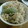 有依子's cooksnap of when they made 【給食風】ふきの炊き込みごはん.