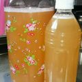 LOUTS's cooksnap of when they made 100%ジュースで作る【電解質液】.