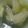 クック1D26XL☆'s cooksnap of when they made 手羽先♪ぽかぽかスープ.