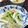 かおぽんちゃん's cooksnap of when they made マイカのヤムウンセン(タイ風春雨サラダ).