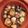 クックGFY8CA☆'s cooksnap of when they made 鶏むね肉とマッシュルームのアヒージョ.