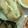ゆ～♪'s cooksnap of when they made 丸ごとじゃが芋のバターがけ（＊´∀｀＊）.
