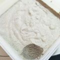 sayakuro66's cooksnap of when they made 簡単おいしい！ 無添加アイスクリーム.