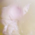 しーとちー's cooksnap of when they made レンジで温玉（おんたま）.