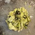 クックVZ8JP5☆'s cooksnap of when they made 白菜のサラダ.
