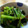 みっちょりんぐ's cooksnap of when they made THE☆定番ごま和え.