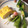 クックZ8J4H4☆'s cooksnap of when they made 【簡単】きゅうりの梅じそ和え.