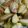 tsubuppy's cooksnap of when they made ローズマリーぽてと.