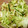 m_mind's cooksnap of when they made 超簡単！レタスの和風マヨサラダ.