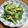 chi−ちゃん's cooksnap of when they made 苦み野菜ゴーヤとピーマンの塩麹和え.