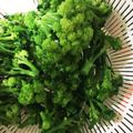 mamipiko❁'s cooksnap of when they made 決定版★ブロッコリーの茹で方！.