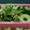 さぁ★たぁ★'s cooksnap of when they made ちくわとほうれん草の卵炒め.