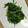 toujours＊'s cooksnap of when they made 定番!!ほうれん草のバターソテー.