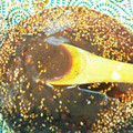 クックPGMYLZ☆'s cooksnap of when they made 自家製焼肉のたれ.