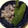 クックJIEZOF☆'s cooksnap of when they made 豚ロースとシシトウの甘辛炒め.