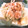 ぺっぺぺ72's cooksnap of when they made とろろこんぶとかつおの豆腐.