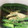 たっぷりたまご's cooksnap of when they made 簡単\ ♪♪ /いんげんの胡麻和え.