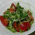 料理★勉強中's cooksnap of when they made アボカドとトマトのチーズサラダ.