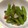 きよやよ's cooksnap of when they made ししとうのニンニクポン酢炒め.