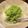 candy422's cooksnap of when they made 燭台切光忠になったつもりでずんだ餅(改).
