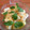 tigerjun2's cooksnap of when they made ささっとやみつき桃カプレーゼ.