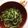 ごん☺︎'s cooksnap of when they made モヤシと豆苗の炒め物.