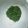 ＊＊akitty＊＊'s cooksnap of when they made 乾燥バジルの作り方～♪.