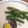 クックZ8J4H4☆'s cooksnap of when they made 【材料これだけ】超簡単インゲンのごま和え.