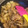 クック9SCZID☆'s cooksnap of when they made 大根と豚バラの甘辛しょうが炒め.