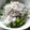 スージー＆ジル's cooksnap of when they made ♡☆簡単小鉢♪おくらのたっぷりしらすのせ.