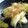 maruru-nn's cooksnap of when they made 新玉ねぎのグリル 柚子胡椒醤油と鰹節で。.