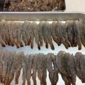 やまママ♡'s cooksnap of when they made 海老フライ（下処理仕方）（お弁当用も有）.