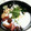 KUMI KUMI's cooksnap of when they made 大戸屋風　ばくだん丼.
