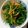あくびぃー's cooksnap of when they made にんじんの葉のおひたし.